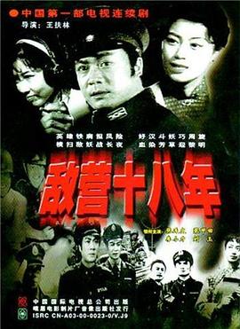 敌营十八年1981第08集